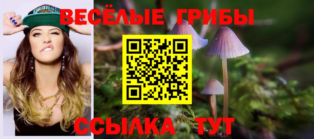 Галлюциногенные грибы GOLDEN TEACHER Коряжма