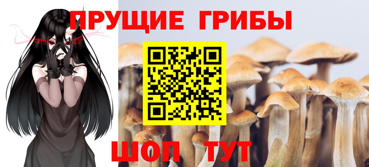 Галлюциногенные грибы Magic Shrooms  Вход с VPN  Коряжма 